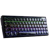 JSJT 63 V2 Hall Effect Gaming Keyboard, 60% Wired Hot-swap Magnetic Switches Jelly Keyboard, 0.00...