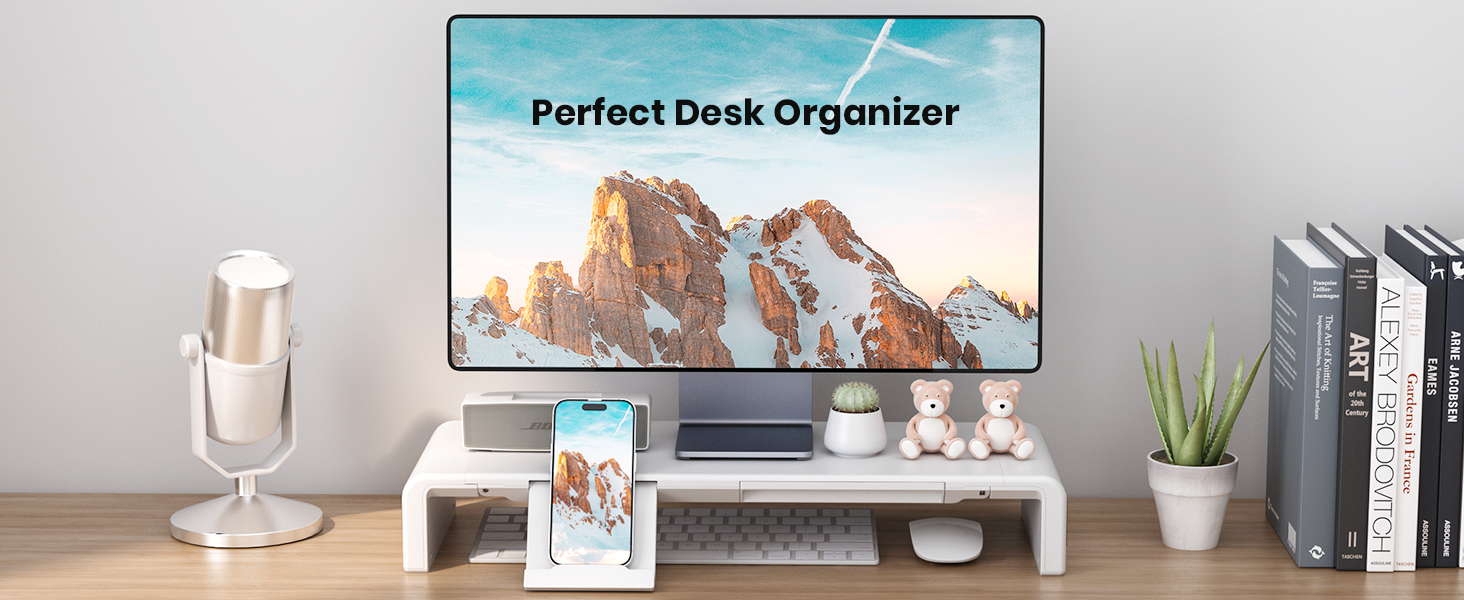 desk organizer