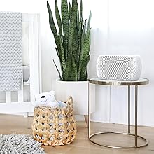 2-in-1 Filter Technology