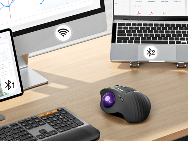 EM01 NL Ergonomic Trackball Mouse