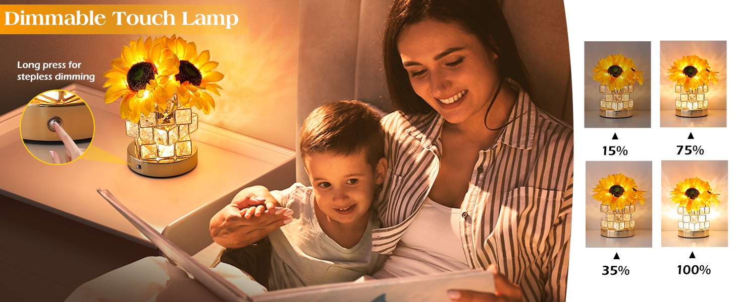 Touch switch /Infinitely dimmable /Type-C charging