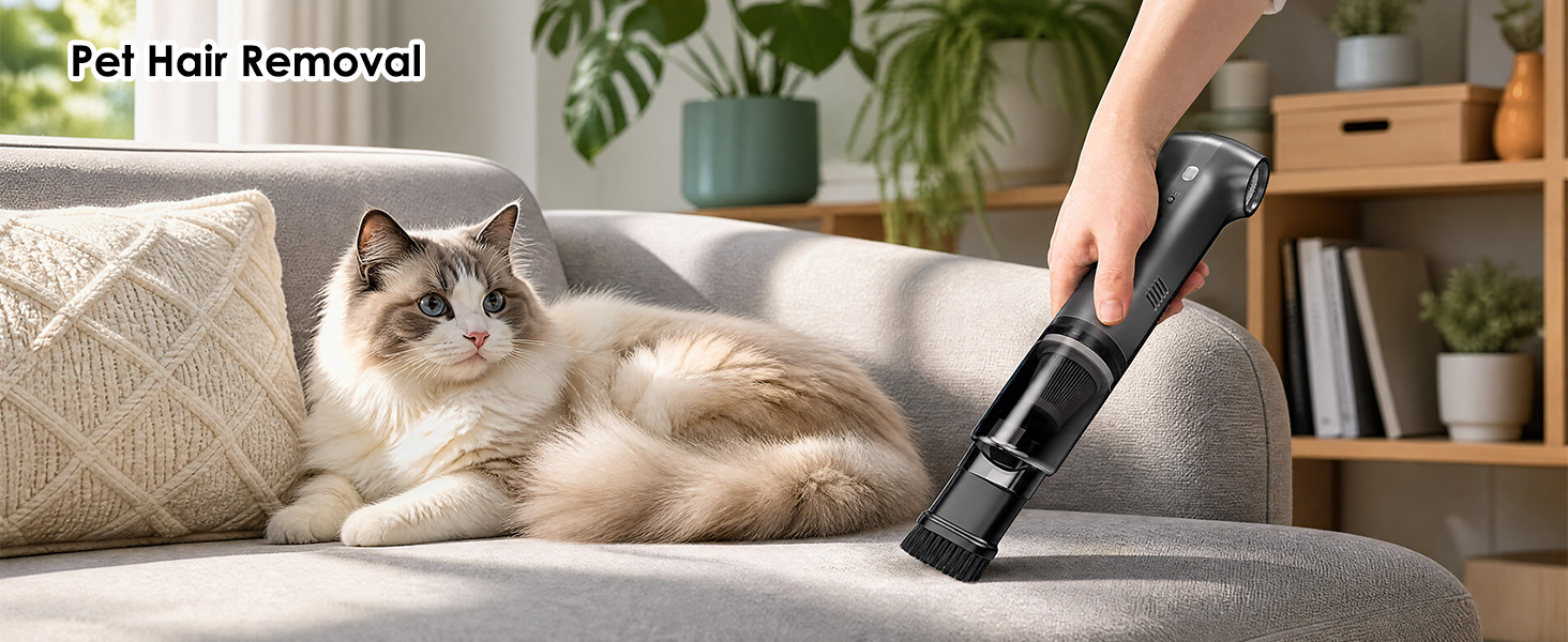 Car Vacuum