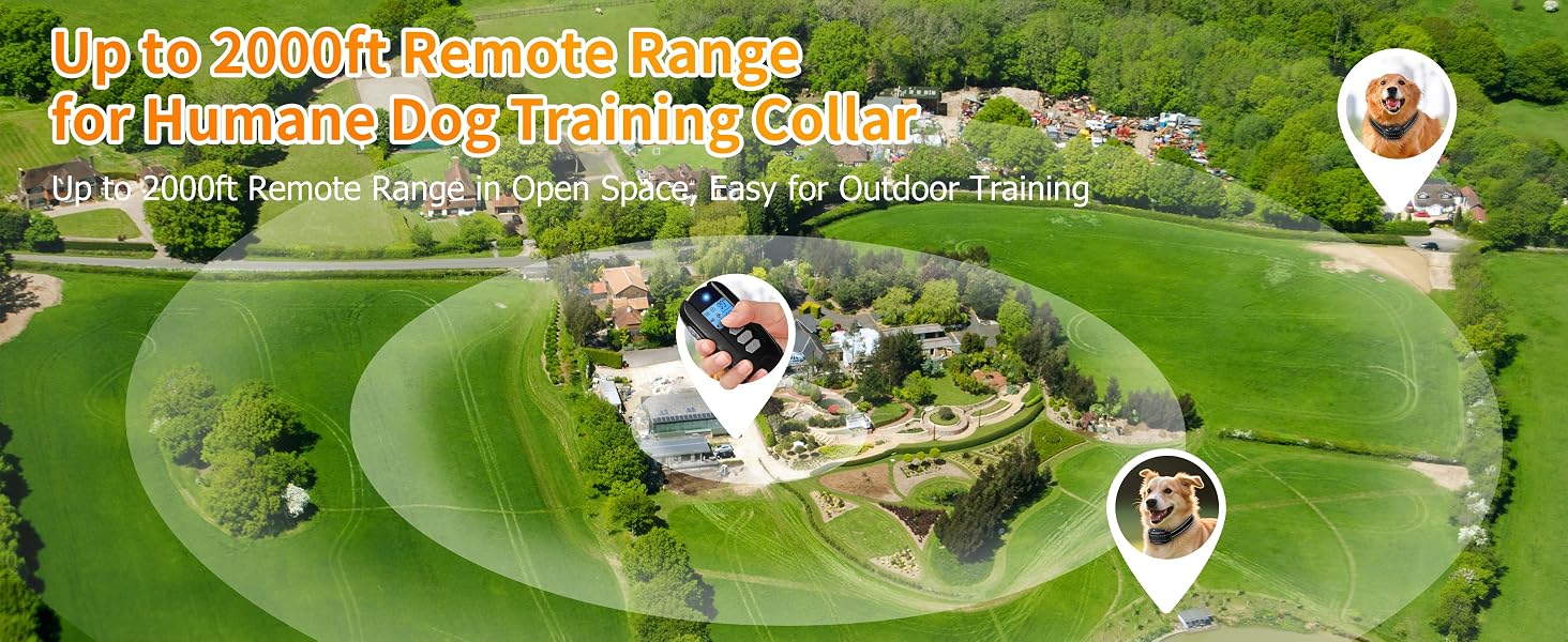 dog training collar 3