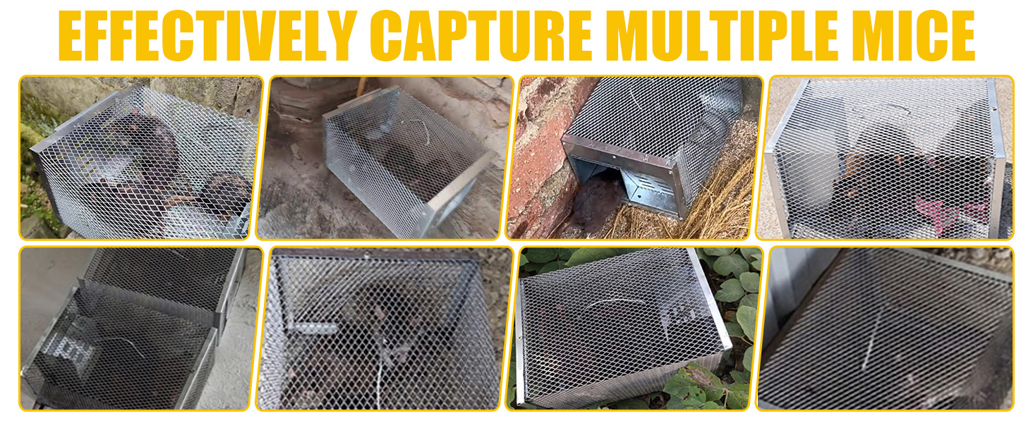 Humane Rodent Trap