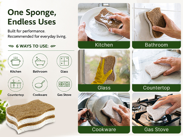 kitchen sponge
