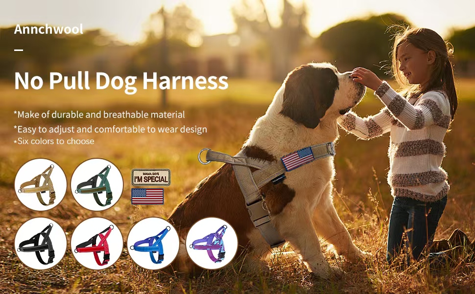 dog harness