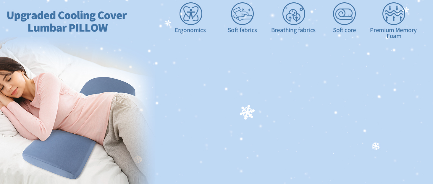 Lumbar Support Pillow