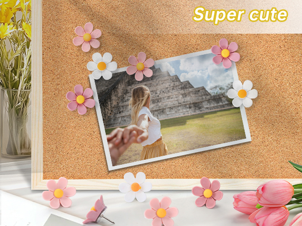 thumb tacks for wall