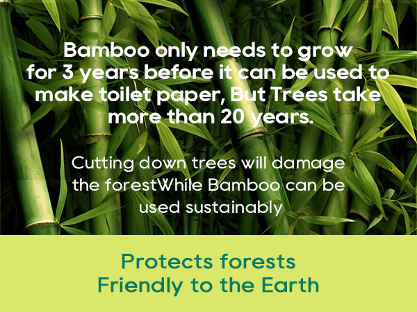 Tree-free paper towels