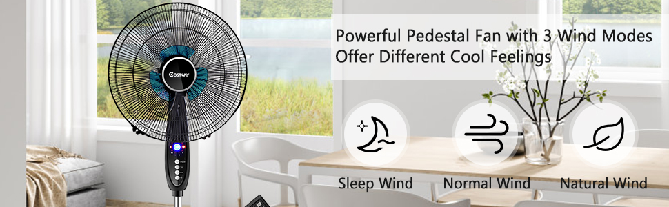 pedestal fan