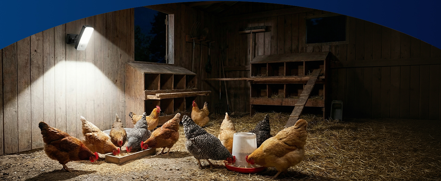 Farm Lighting