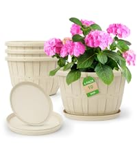 https://m.media-amazon.com/images/S/aplus-media-library-service-media/5a5181c8-fd94-4e0b-87d8-061bfc68503e.__CR0,0,800,900_PT0_SX200_V1___.png