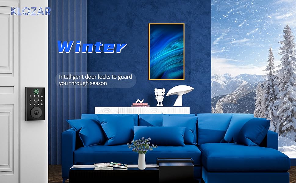 smart door lock