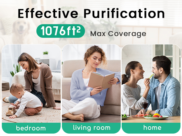 air purifiers