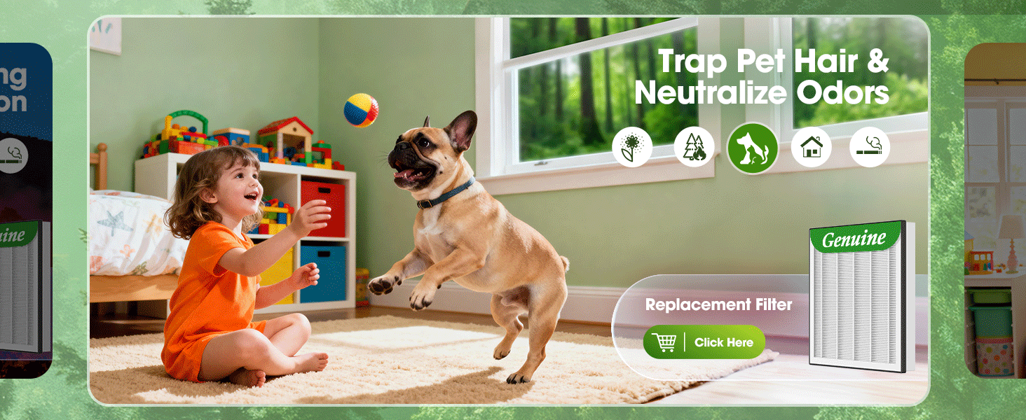 pet hair air purifiers for home