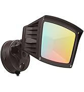 LEONLITE 3CCT LED Dusk to Dawn Security Light, Outdoor Flood Light with Photocell, Aluminum, 40W,...