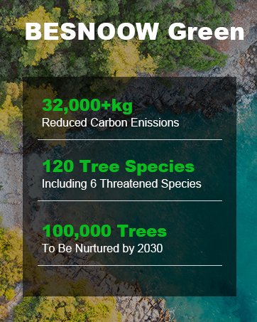 Wireless Earbuds 2024