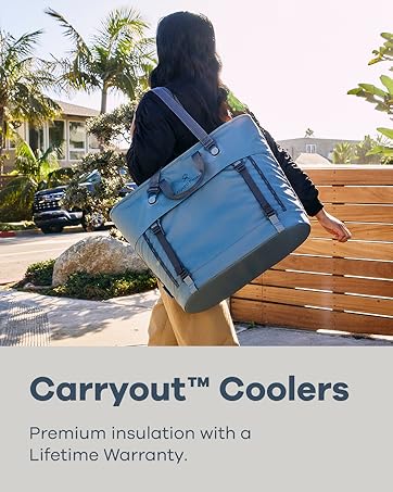 Hydro Flask Carryout Coolers