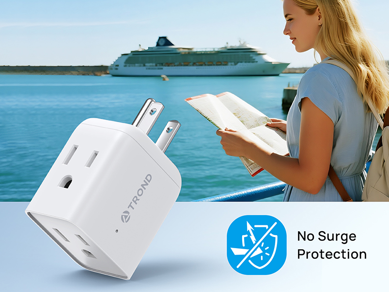 cruise ship essentials