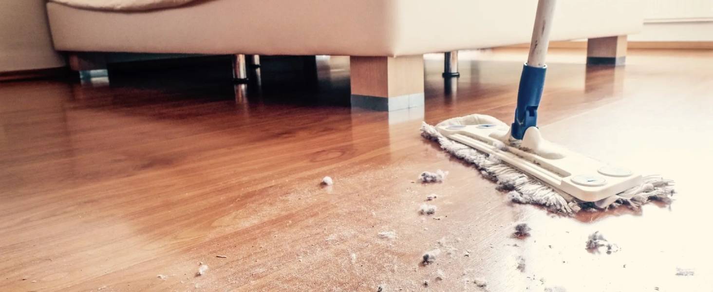 Core mini filter remove lint