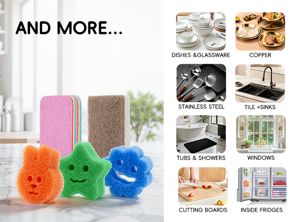 Kitchen Sponges