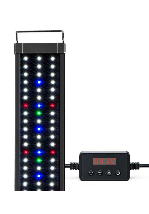 - aquarium light 20 gallon