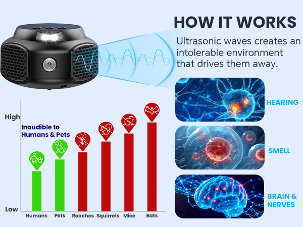 ultrasonic mouse repellent