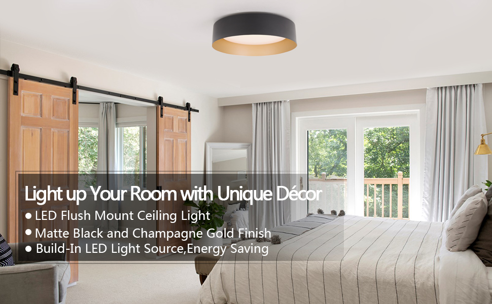 Flush mount ceiling light