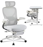 FLEXISPOT Foldex Ergonomic Office Chair, Folding Chair for Small Spaces with Lumbar Support, Flip...
