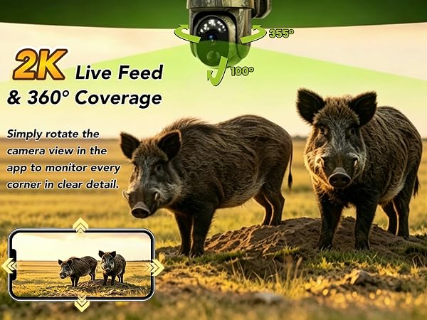 360° full coverage