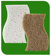 Sponges Kitchen
