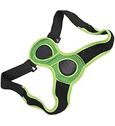 YUYTE Back Posture Correct Brace, 8 Shaped Adjust Straps Hunchback Prevention Back Straightener, ...