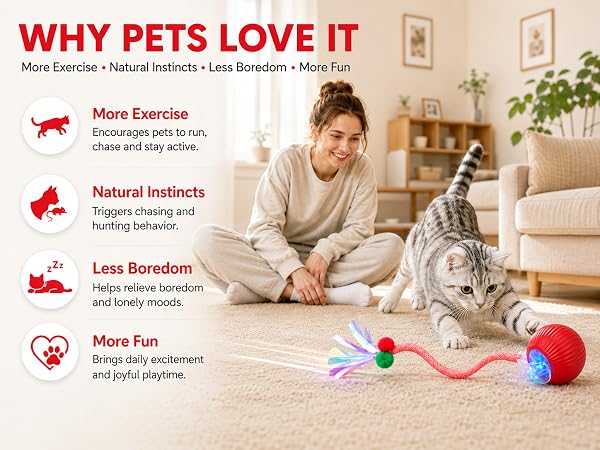 chirping bird cat toy