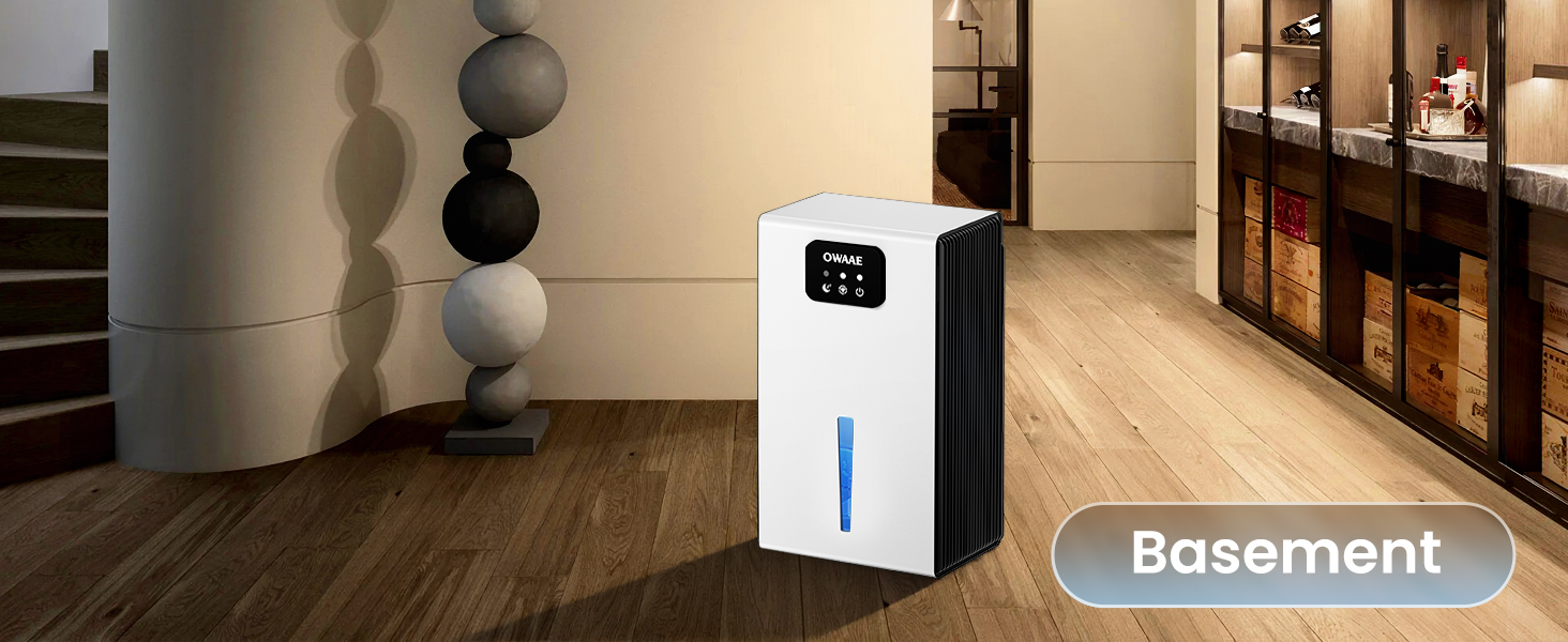 dehumidifier for basement