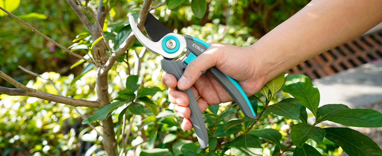 shears