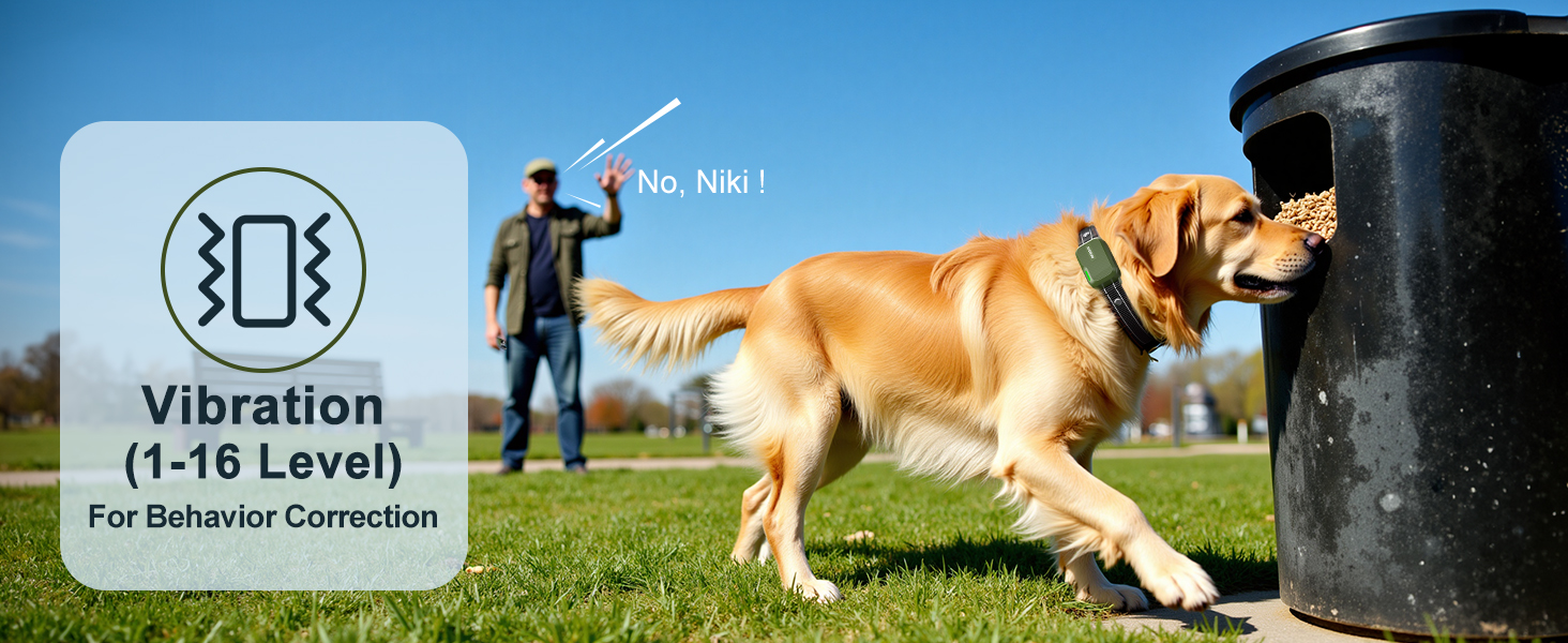 dog vibration collar with controller