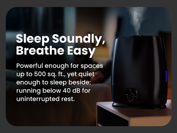 Everlasting Comfort 6L Humidifiers for Bedroom