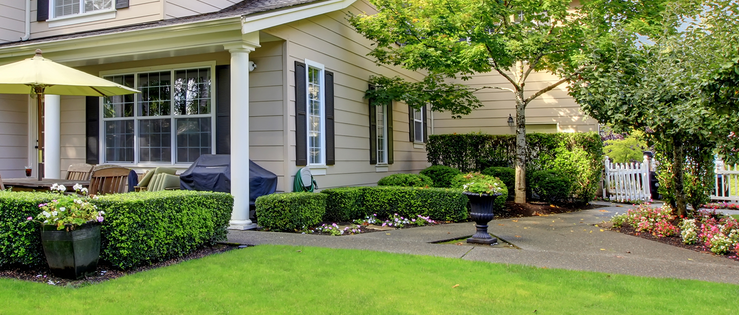 Cordless Hedge Trimmer