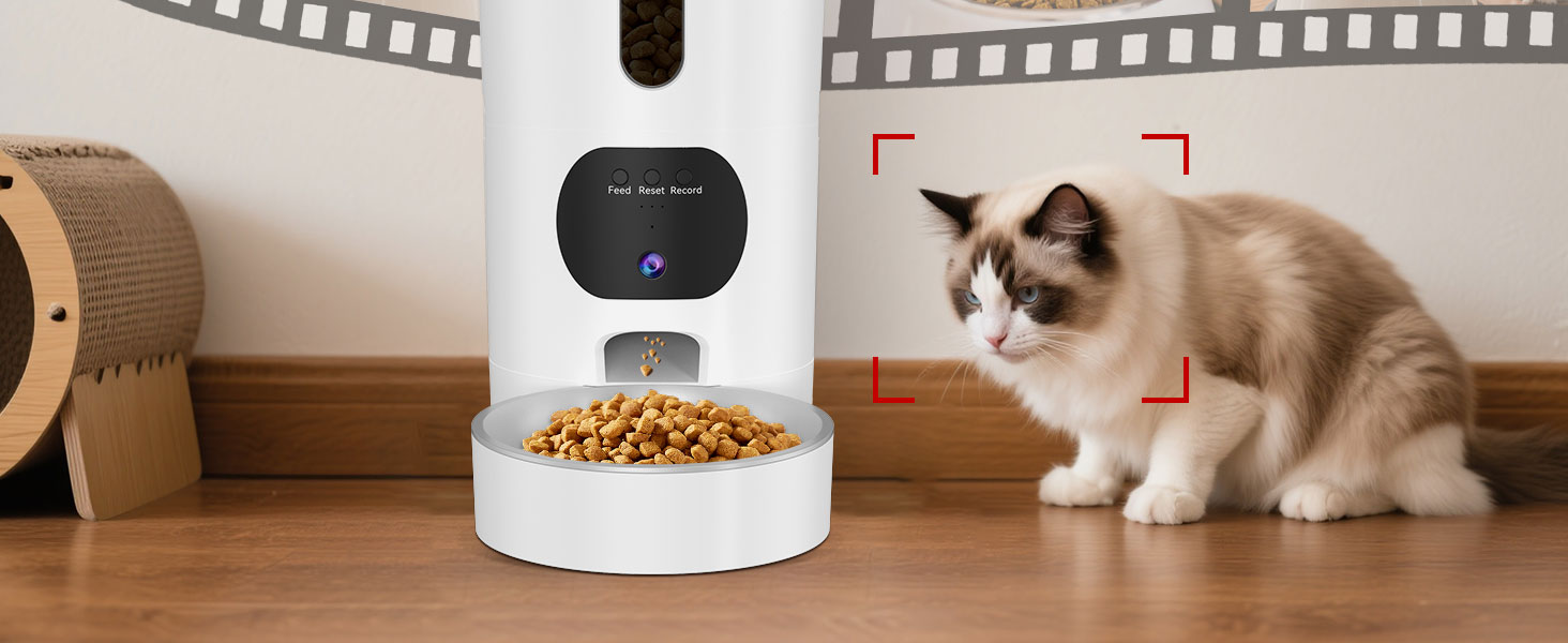 cat feeder automatic