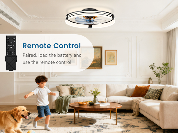 kitchen ceiling fan with lights and remote