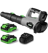 Leaf Blower, 21V Cordless Electric Blower with 2 2.0Ah Batteries and 1 Hour Fast Charger, Lightwe...