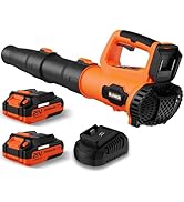 Leaf Blower, 21V Cordless Electric Blower with 2 2.0Ah Batteries and 1 Hour Fast Charger, Lightwe...