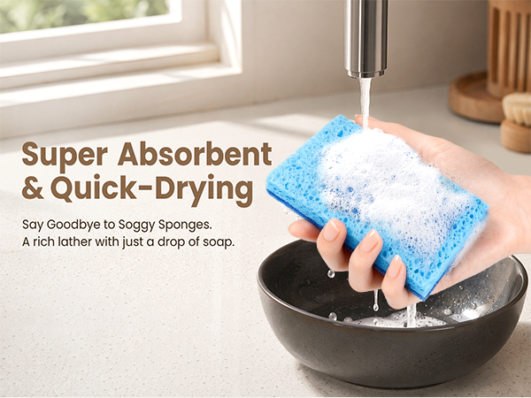 kitchen sponges