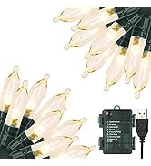 Green Convenience Christmas Lights 33ft 100 LED Battery String Lights with Timer Memory Function ...