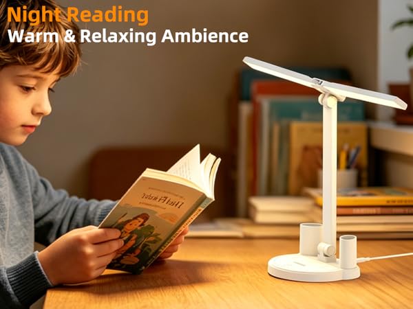 Zensun LED Desk Lamp