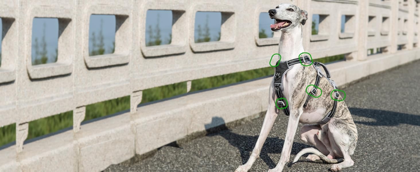 no escape dog harness