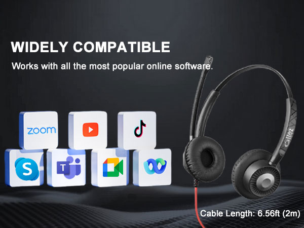 Works with all the most popular online software.