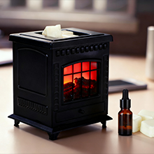 WAX WARMER