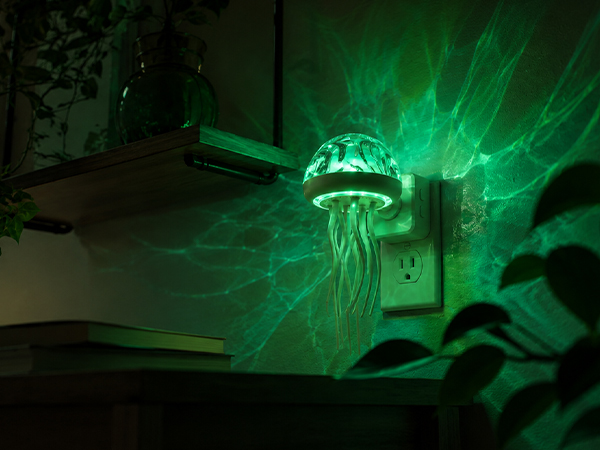 Night Light