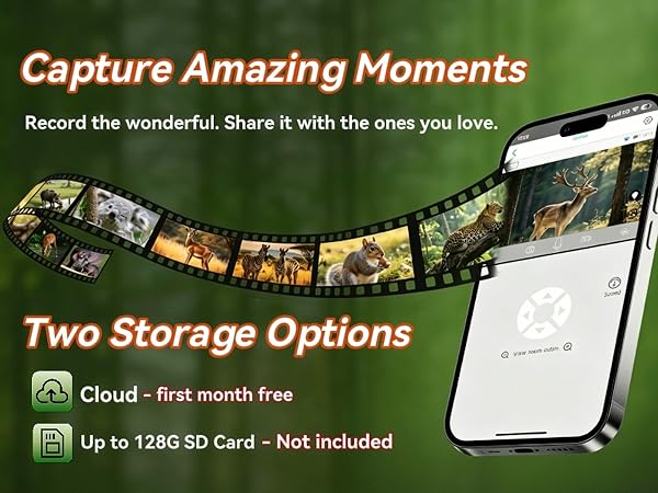 Capture every moment
